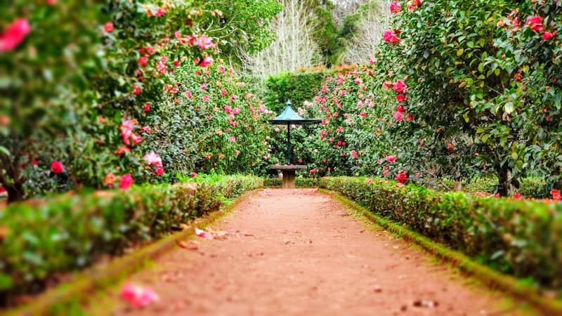 Projet de jardinage